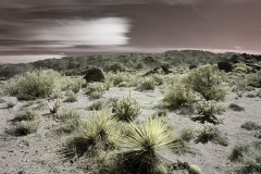 INFRARED_ANZA_BORREGO_OCT_27_2019_695-93_FINAL_08S