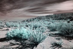 INFRARED_ANZA_BORREGO_OCT_27_2019_695-96_FINAL_03S