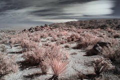 INFRARED_ANZA_BORREGO_OCT_27_2019_695-99_FINAL_10