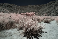 INFRARED_ANZA_BORREGO_MAY27_2019_695-254_FINAL_10