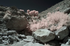 INFRARED_ANZA_BORREGO_MAY27_2019_695-285_FINAL_10