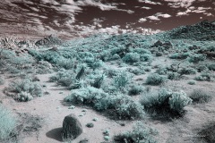 INFRARED_ANZA_BORREGO_NOV_02_2019_695-100_FINAL_03S