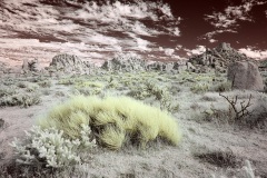 INFRARED_ANZA_BORREGO_NOV_02_2019_695-137_FINAL_08S