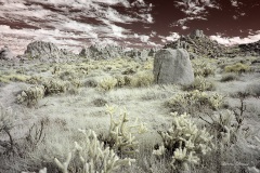 INFRARED_ANZA_BORREGO_NOV_02_2019_695-139_FINAL_08S