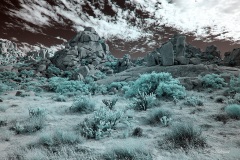INFRARED_ANZA_BORREGO_NOV_02_2019_695-164_FINAL_03S