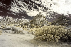 INFRARED_ANZA_BORREGO_NOV_02_2019_695-165_FINAL_08S