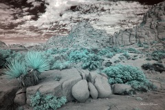 INFRARED_ANZA_BORREGO_NOV_02_2019_695-169_FINAL_03S