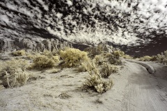 INFRARED_ANZA_BORREGO_NOV_02_2019_695-186_FINAL_08S