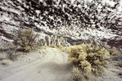 INFRARED_ANZA_BORREGO_NOV_02_2019_695-188_FINAL_08S
