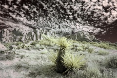 INFRARED_ANZA_BORREGO_NOV_02_2019_695-192_FINAL_08S