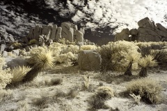 INFRARED_ANZA_BORREGO_NOV_02_2019_695-208_FINAL_08S