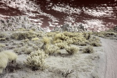 INFRARED_ANZA_BORREGO_NOV_02_2019_695-220_FINAL_08S