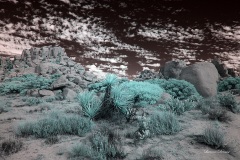 INFRARED_ANZA_BORREGO_NOV_02_2019_695-223_FINAL_03S