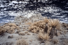 INFRARED_ANZA_BORREGO_NOV_02_2019_695-225_FINAL_06