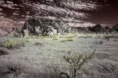 INFRARED_ANZA_BORREGO_NOV_02_2019_695-240_FINAL_08S