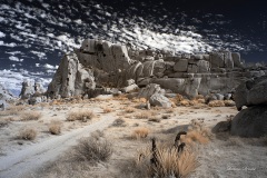 INFRARED_ANZA_BORREGO_NOV_02_2019_695-244_FINAL_06