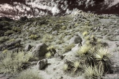 INFRARED_ANZA_BORREGO_NOV_02_2019_695-41_FINAL_08S