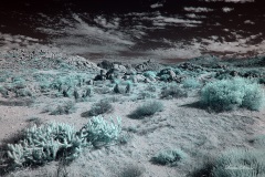 INFRARED_ANZA_BORREGO_NOV_02_2019_695-73_FINAL_03S