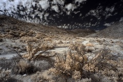 INFRARED_ANZA_BORREGO_NOV_02_2019_695-74_FINAL_06