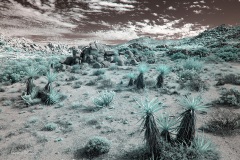INFRARED_ANZA_BORREGO_NOV_02_2019_695-76_FINAL_03S