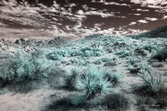 INFRARED_ANZA_BORREGO_NOV_02_2019_695-98_FINAL_03S