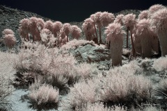 INFRARED_ANZA_BORREGO_MAY27_2019_695-202_FINAL_10