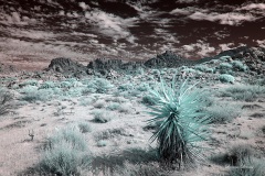 INFRARED_ANZA_BORREGO_NOV_02_2019_695-107_FINAL_03S