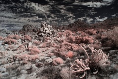 INFRARED_ANZA_BORREGO_NOV_02_2019_695-114_FINAL_10