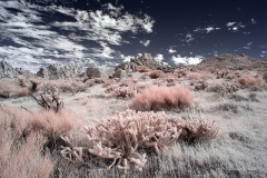 INFRARED_ANZA_BORREGO_NOV_02_2019_695-127_FINAL_10