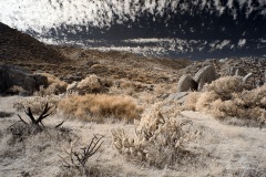 INFRARED_ANZA_BORREGO_NOV_02_2019_695-130_FINAL_06