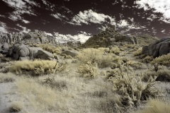 INFRARED_ANZA_BORREGO_NOV_02_2019_695-151_FINAL_08S
