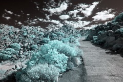 INFRARED_ANZA_BORREGO_NOV_02_2019_695-17_FINAL_03S