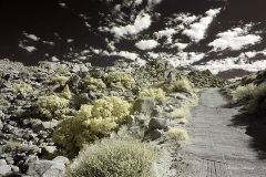 INFRARED_ANZA_BORREGO_NOV_02_2019_695-18_FINAL_08S