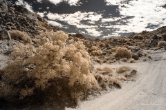 INFRARED_ANZA_BORREGO_NOV_02_2019_695-25_FINAL_06