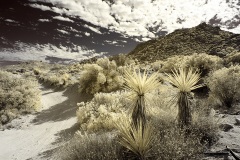 INFRARED_ANZA_BORREGO_NOV_02_2019_695-63_FINAL_08S