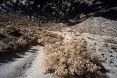 INFRARED_ANZA_BORREGO_NOV_02_2019_695-66_FINAL_06