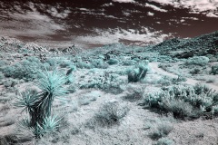 INFRARED_ANZA_BORREGO_NOV_02_2019_695-68_FINAL_03S