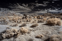 INFRARED_ANZA_BORREGO_NOV_02_2019_695-73_FINAL_06