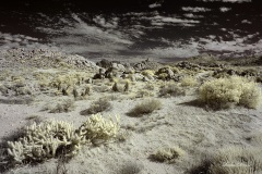 INFRARED_ANZA_BORREGO_NOV_02_2019_695-73_FINAL_08S