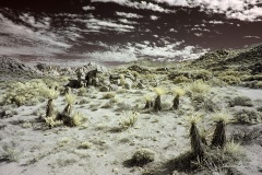INFRARED_ANZA_BORREGO_NOV_02_2019_695-75_FINAL_08S
