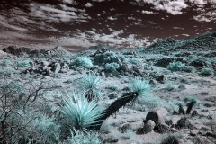 INFRARED_ANZA_BORREGO_NOV_02_2019_695-83_FINAL_03S