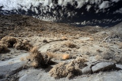 INFRARED_ANZA_BORREGO_NOV_02_2019_695-86_FINAL_06