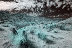 INFRARED_ANZA_BORREGO_NOV_02_2019_695-90_FINAL_03S