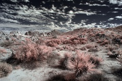 INFRARED_ANZA_BORREGO_NOV_02_2019_695-97_FINAL_10