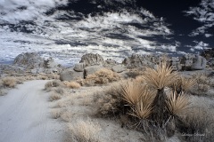 Anza Borrego Dreams 12 