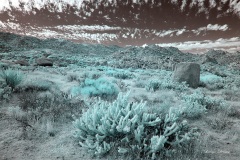 INFRARED_ANZA_BORREGO_NOV_02_2019_695-143_FINAL_03S