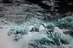 INFRARED_ANZA_BORREGO_NOV_02_2019_695-156_FINAL_03S