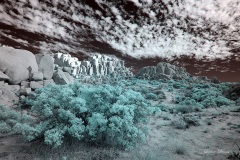 INFRARED_ANZA_BORREGO_NOV_02_2019_695-178_FINAL_03S