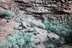 INFRARED_ANZA_BORREGO_NOV_02_2019_695-182_FINAL_03S