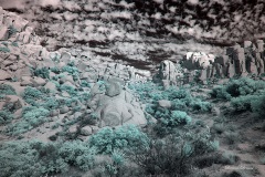 INFRARED_ANZA_BORREGO_NOV_02_2019_695-193_FINAL_03S